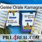 Gelée Orale Kamagra 12